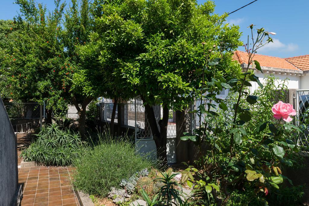 Apartment Veve Dubrovnik Eksteriør bilde